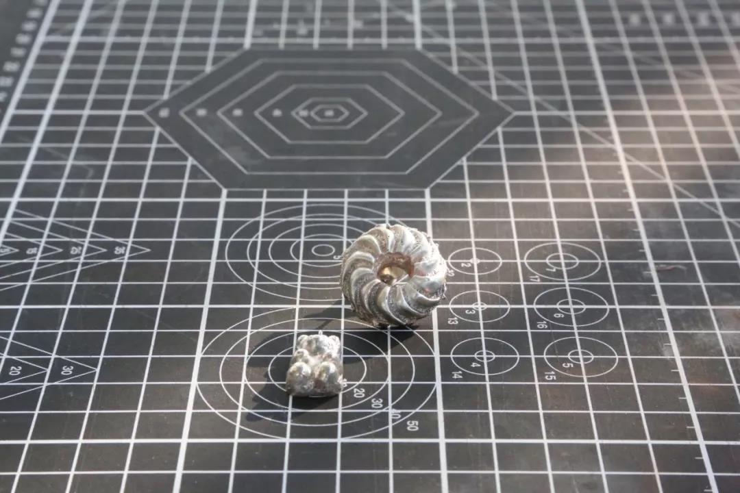 小熊和小花